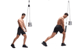 InnateFit FITNESS DIY comprehensive fitness trainer
