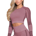 InnateFit FITNESS Wine red top / M Yoga Crop Top Seamless Yoga sets CJNSSYTZ00914-Wine red top-M