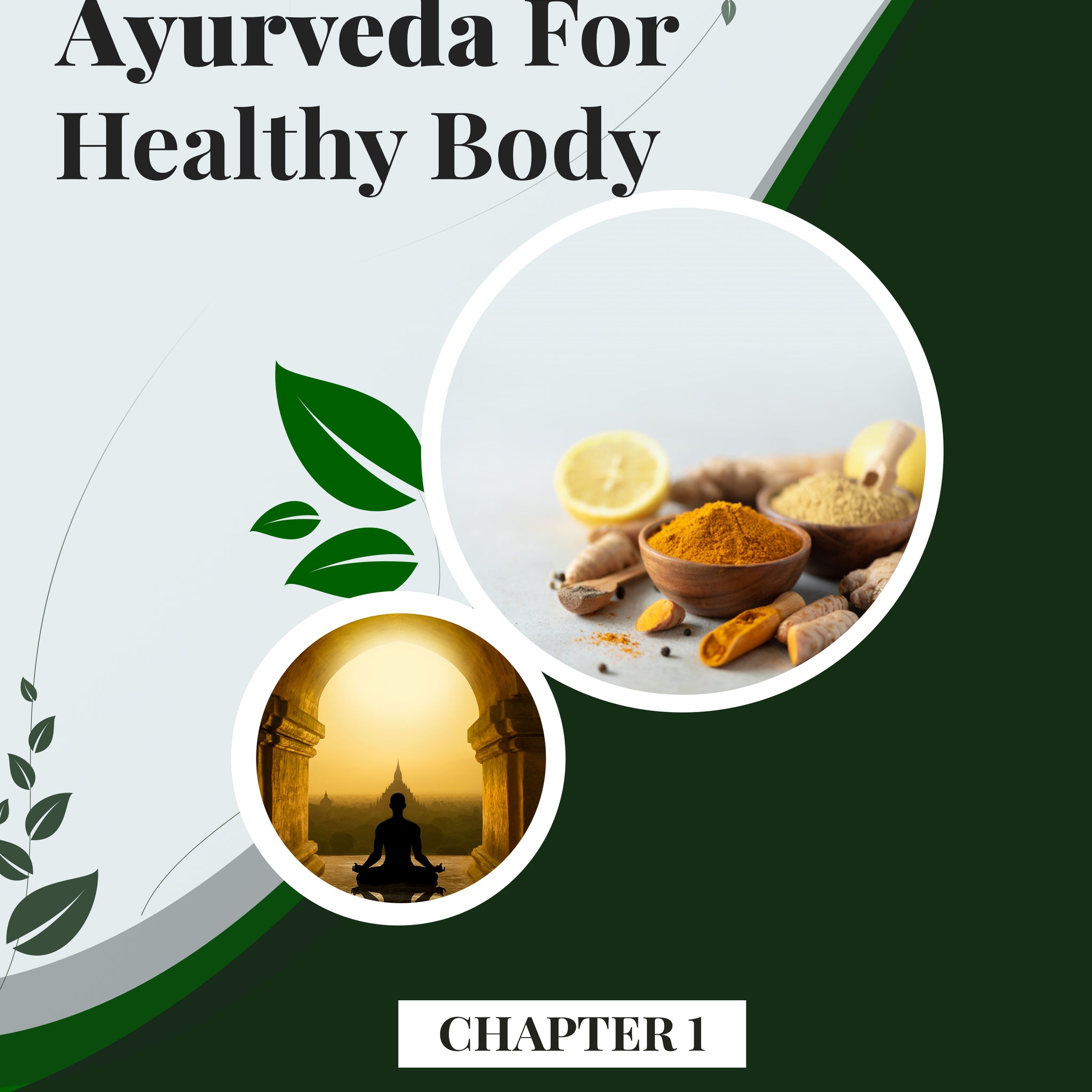 Ayurveda Guide: A Journey to Holistic Wellness